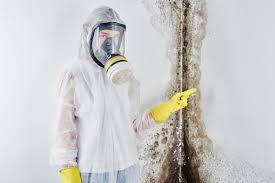 Best Comprehensive Air Testing for Mold Contaminants  in Lincoln, AR